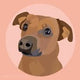 @tootie_dog