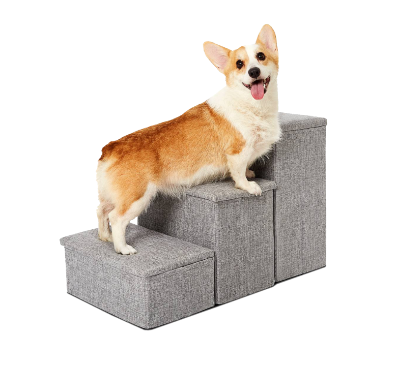 Dog Stairs