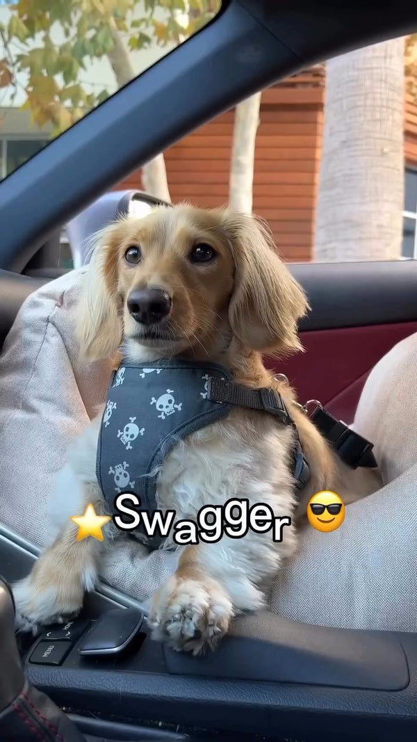 @itsyaboy_winston