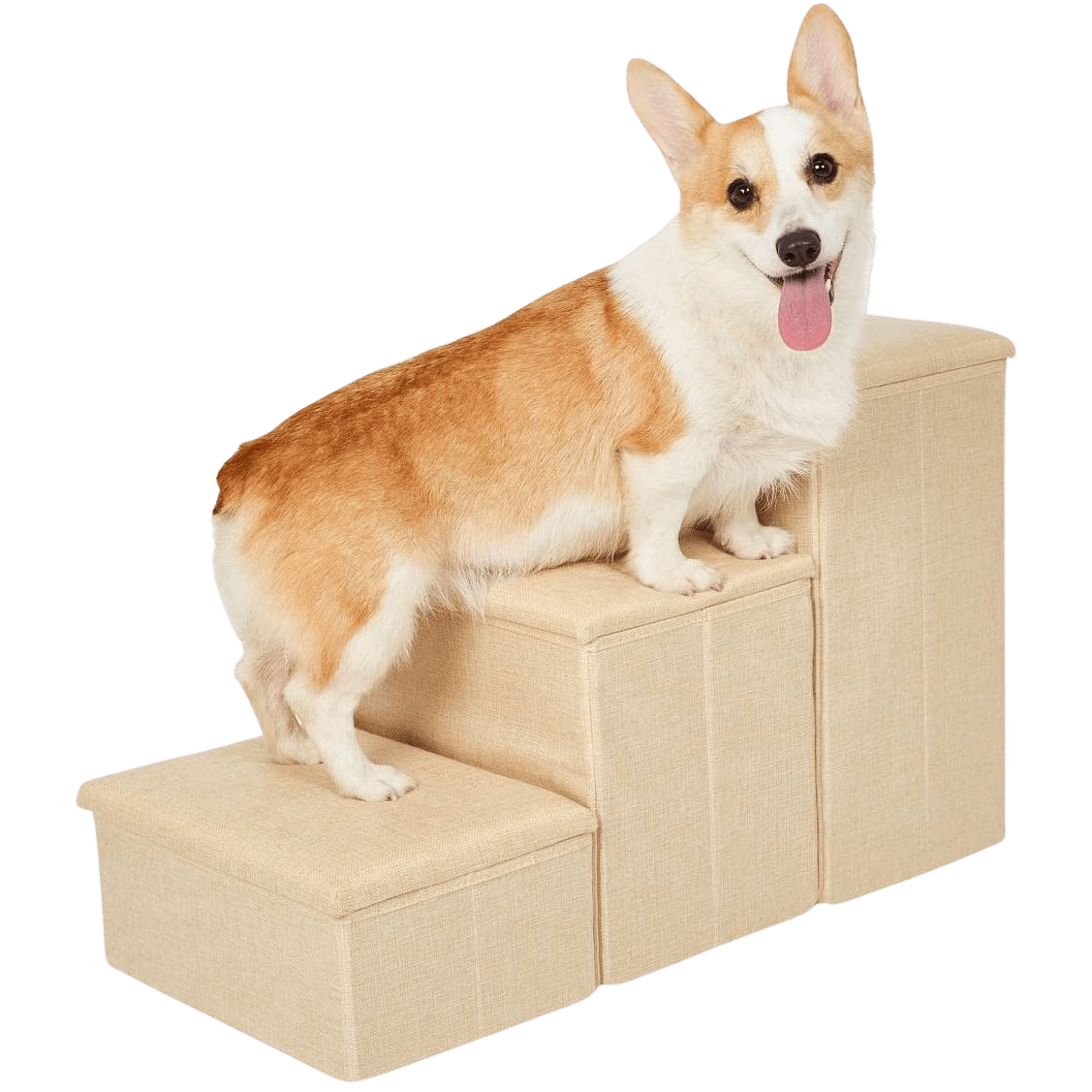Dog Stairs