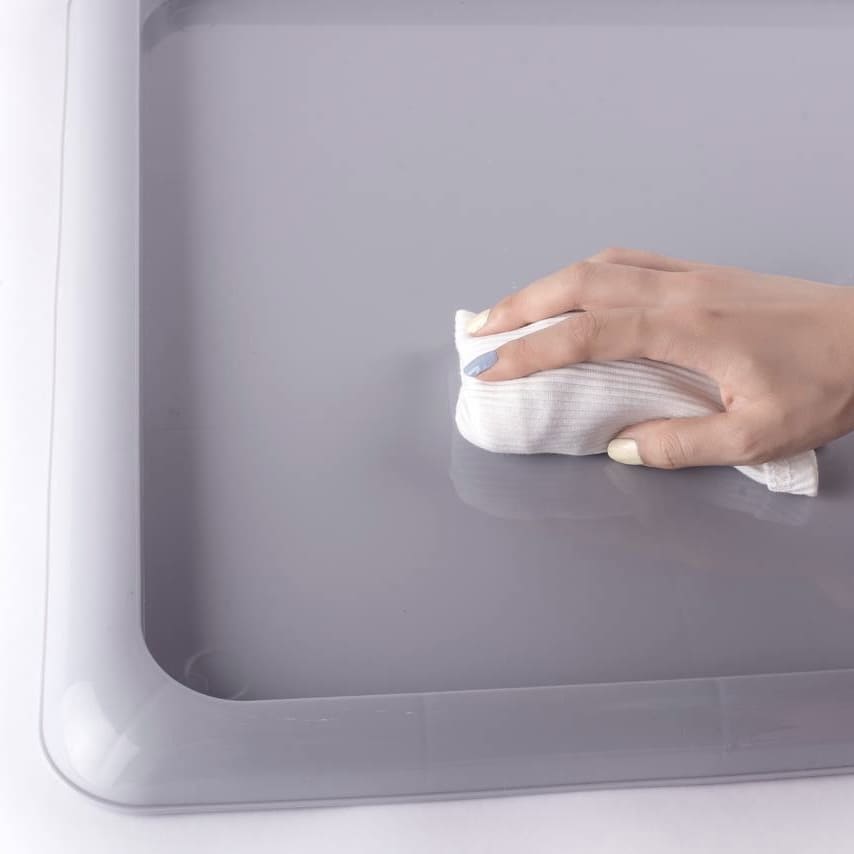 Dog Potty Tray