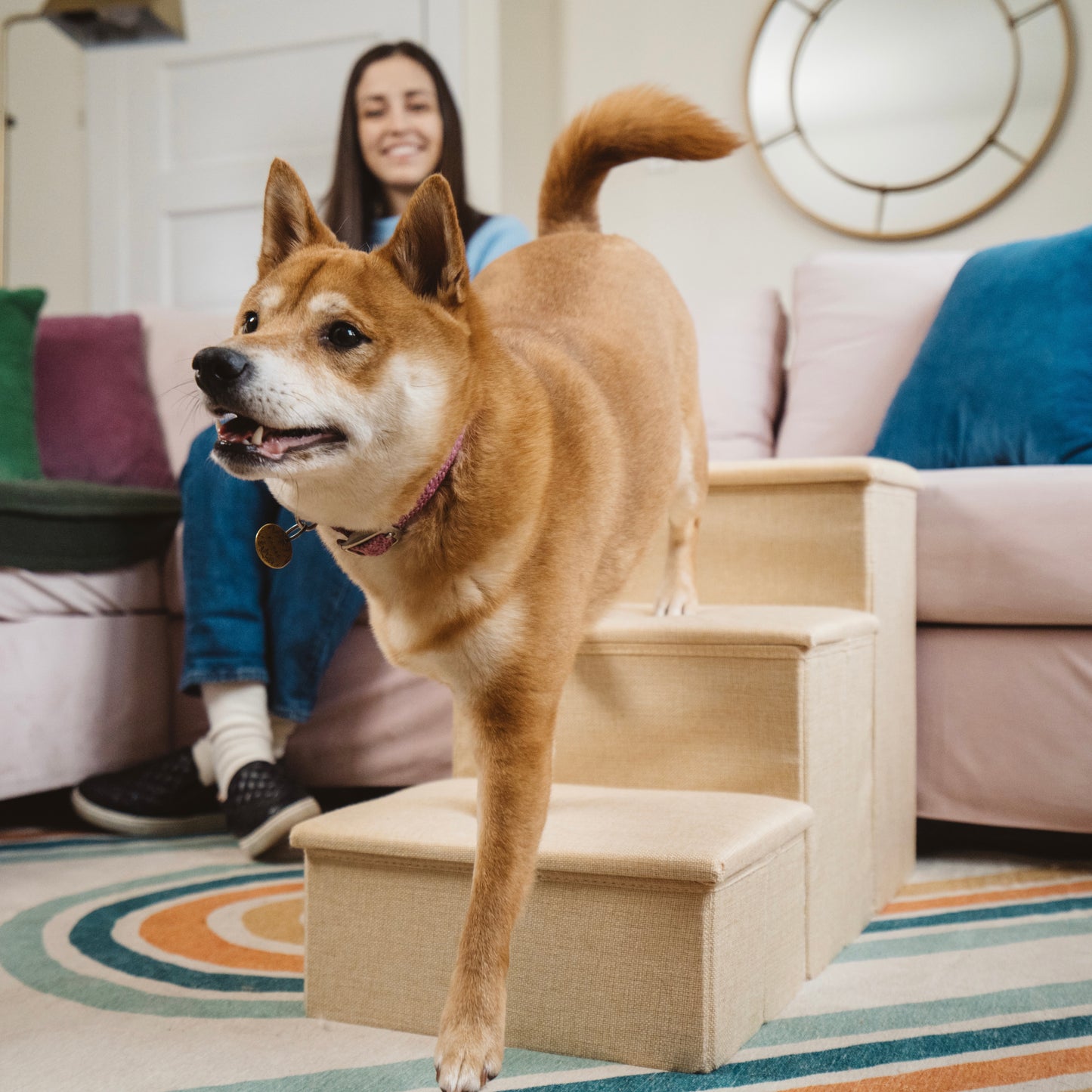 Dog Stairs