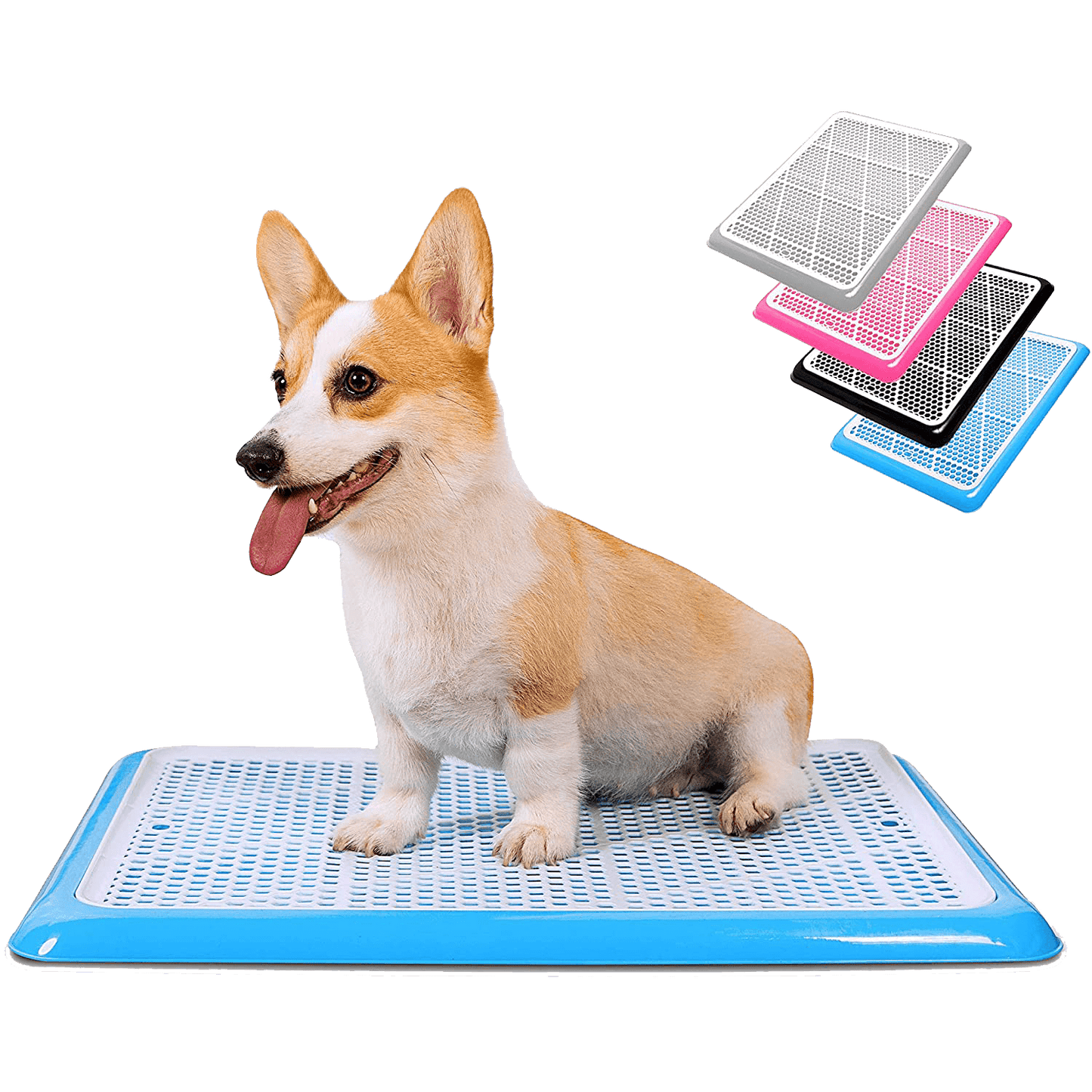 Dog Potty Tray