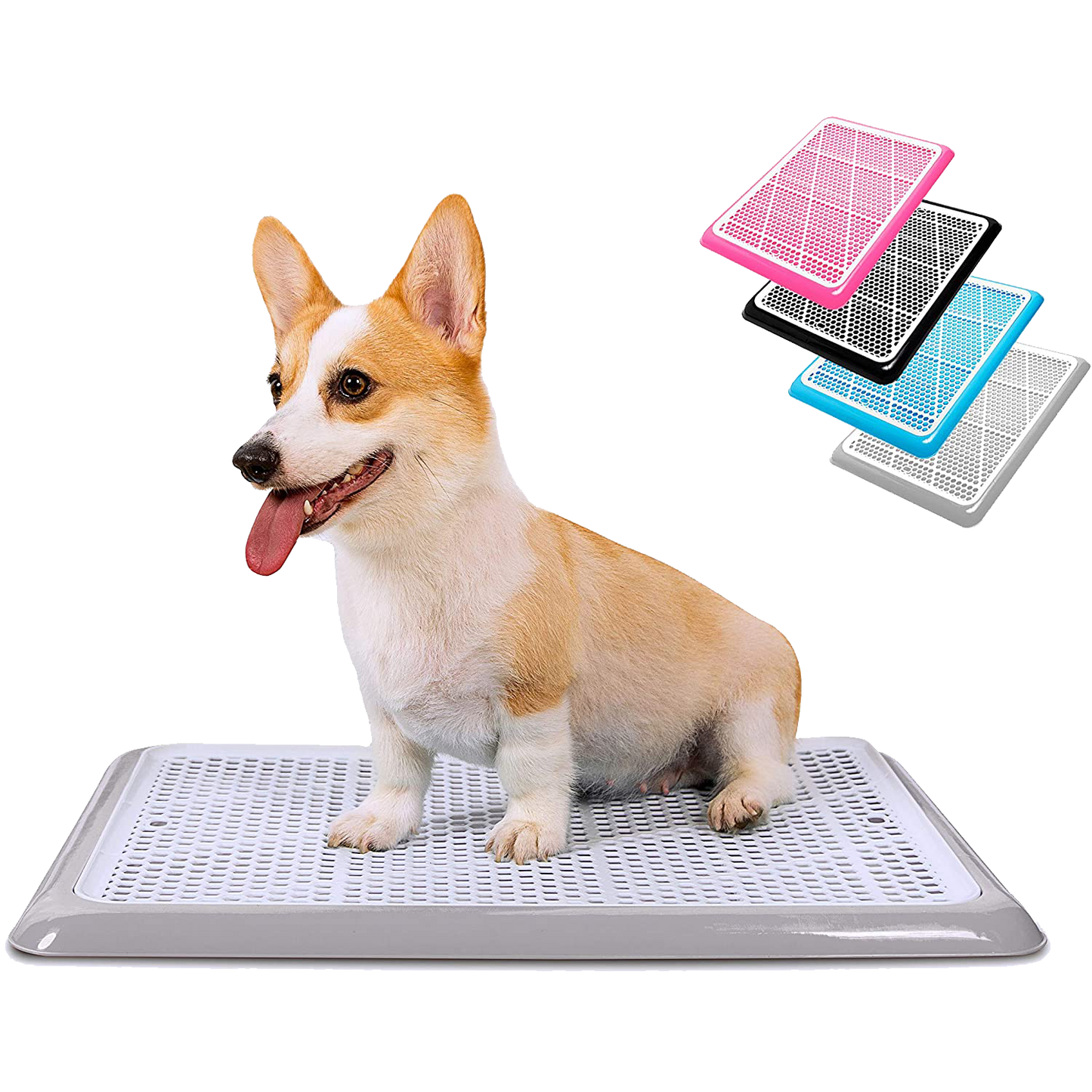 Dog Potty Tray