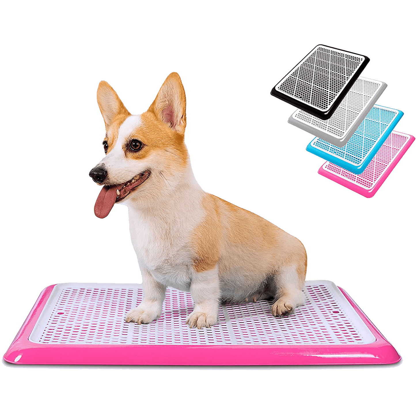 Dog Potty Tray