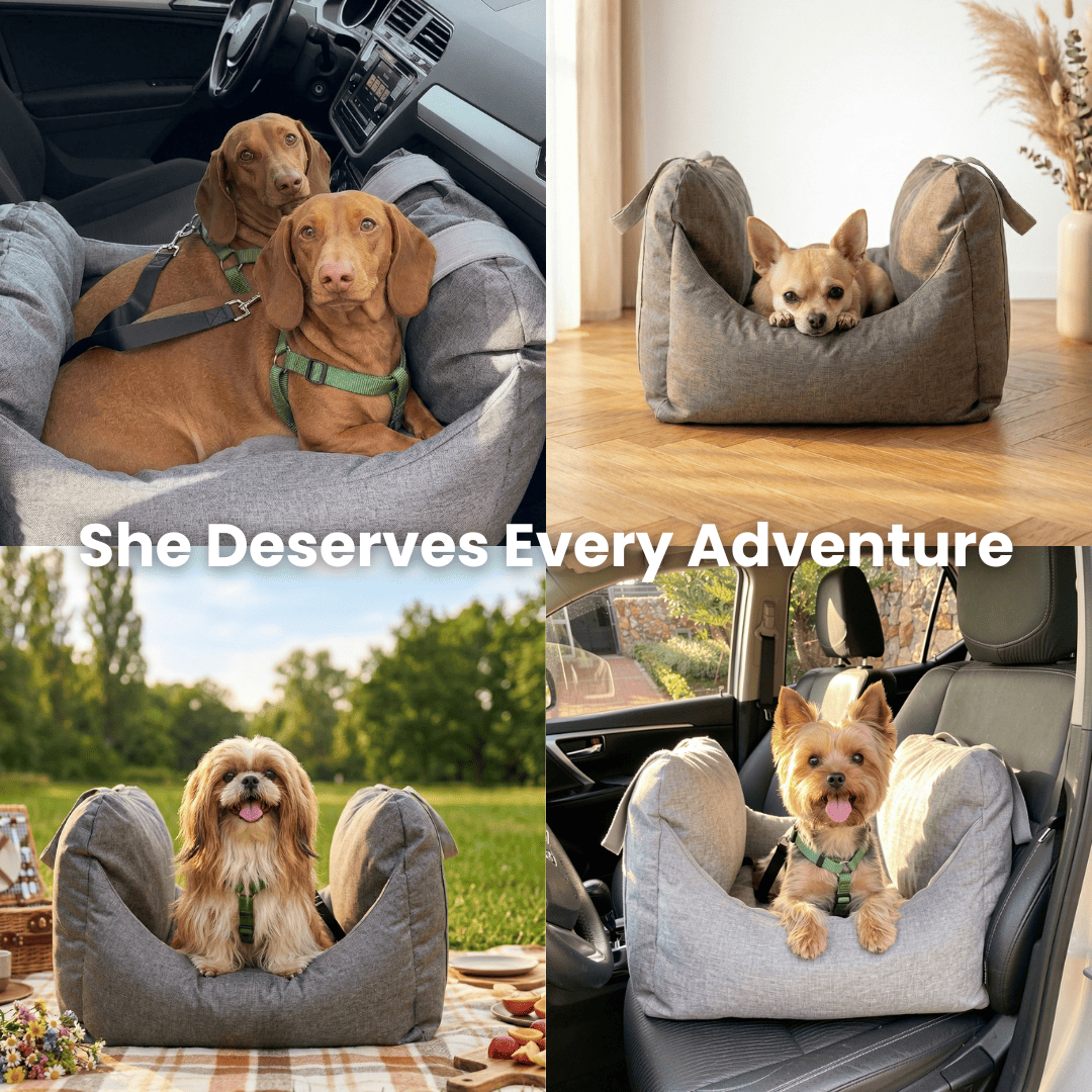 Dog Car Booster Seat
