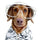 @biscuit.superdog