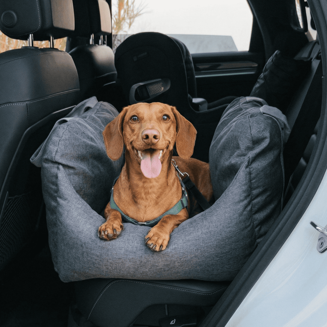 Dog Car Booster Seat