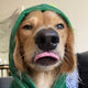 @itsyaboy_winston