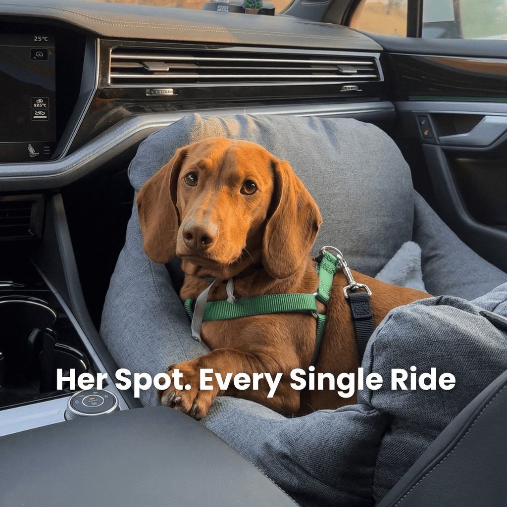 Dog Car Booster Seat