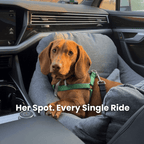 Dog Car Booster Seat