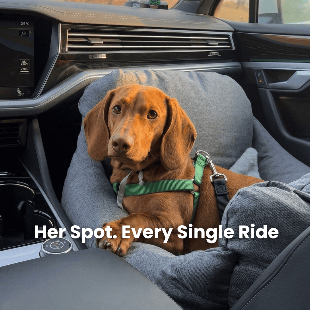 Dog Car Booster Seat