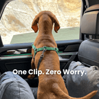 Dog Car Booster Seat