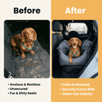 Dog Car Booster Seat