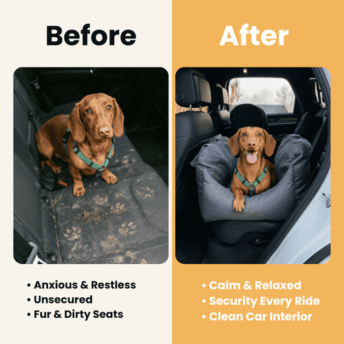 Dog Car Booster Seat