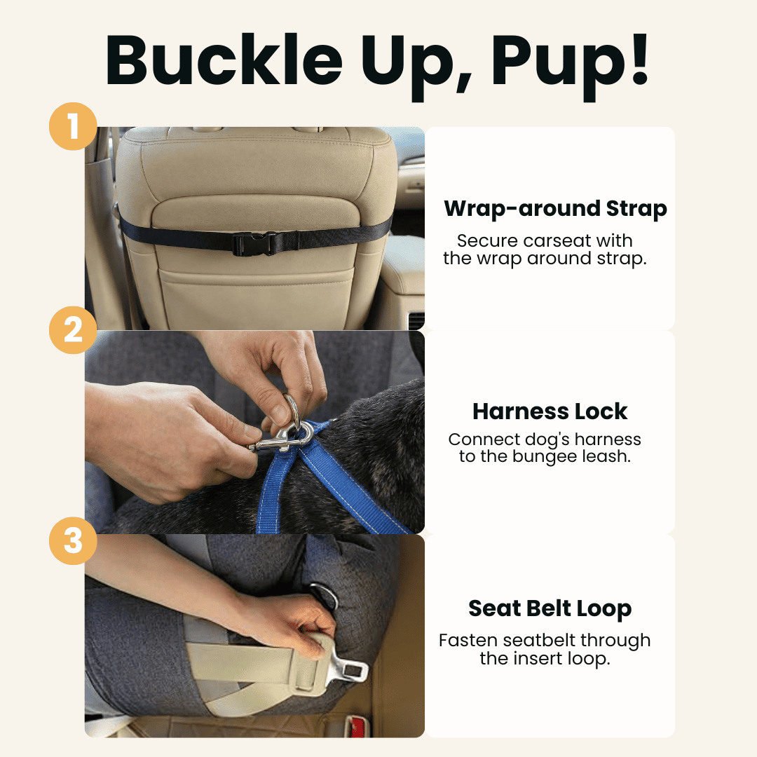 Dog Car Booster Seat