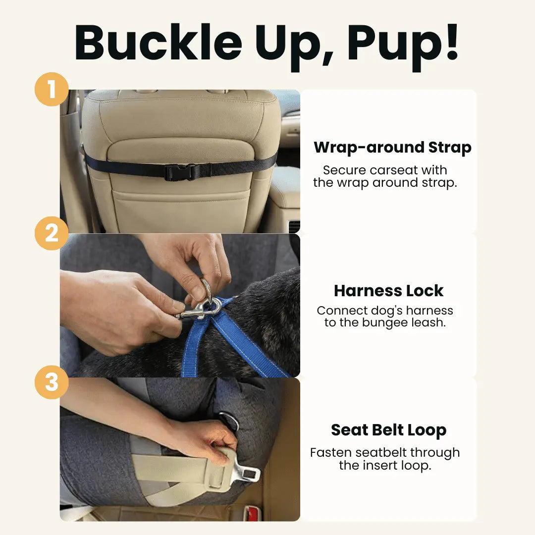 DOG CAR BOOSTER SEAT