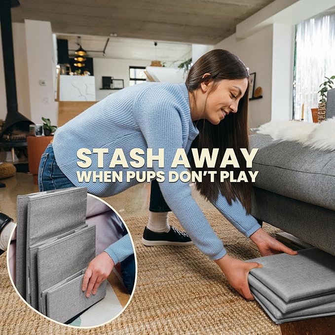 Folds Flat Under Your Bed or Couch