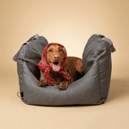 Dog Car Booster Seat