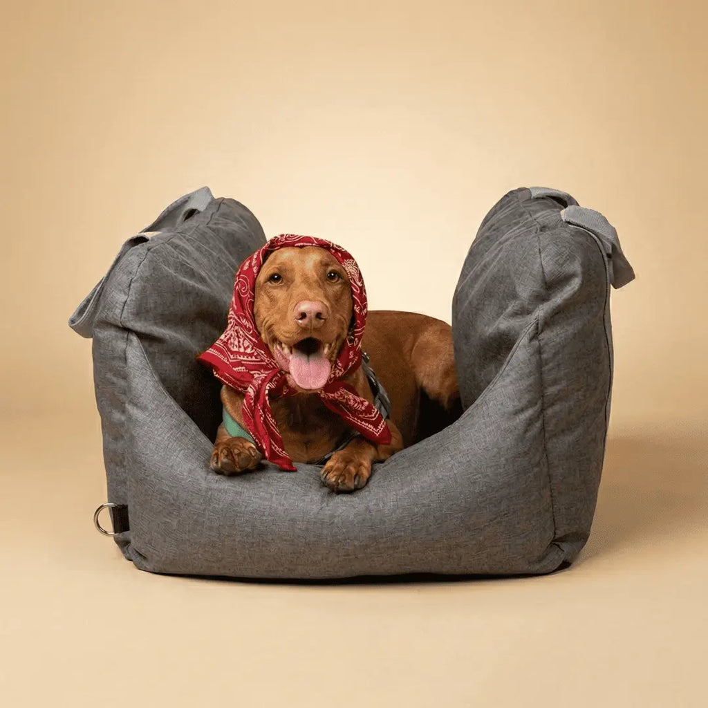 DOG CAR BOOSTER SEAT