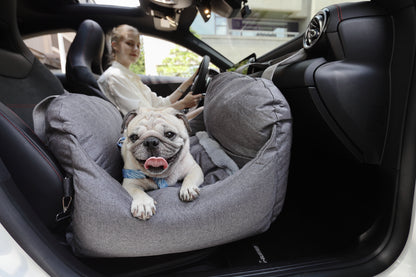 Dog Car Seat