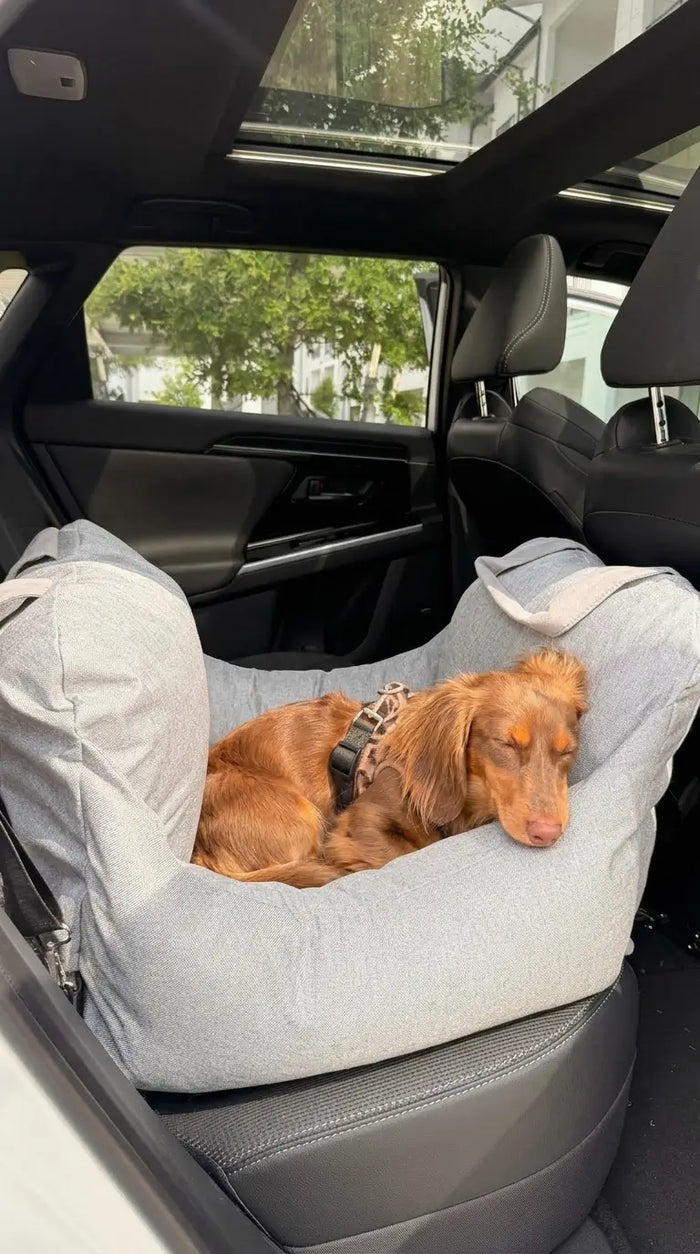 Her favorite spot in the car