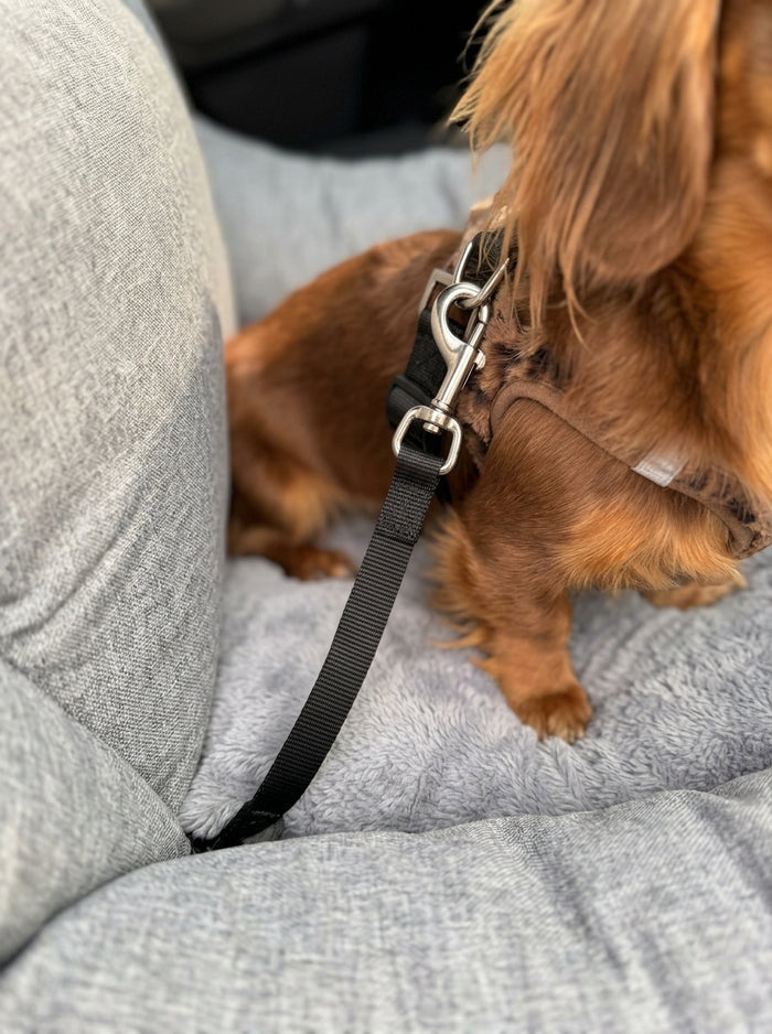 Secured In Place