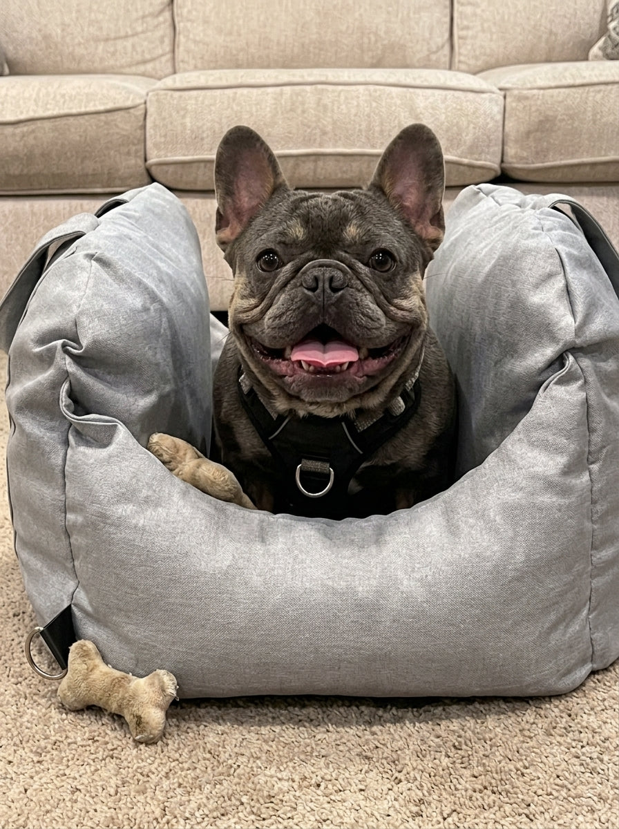@kash.d.frenchie