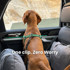 DOG CAR BOOSTER SEAT