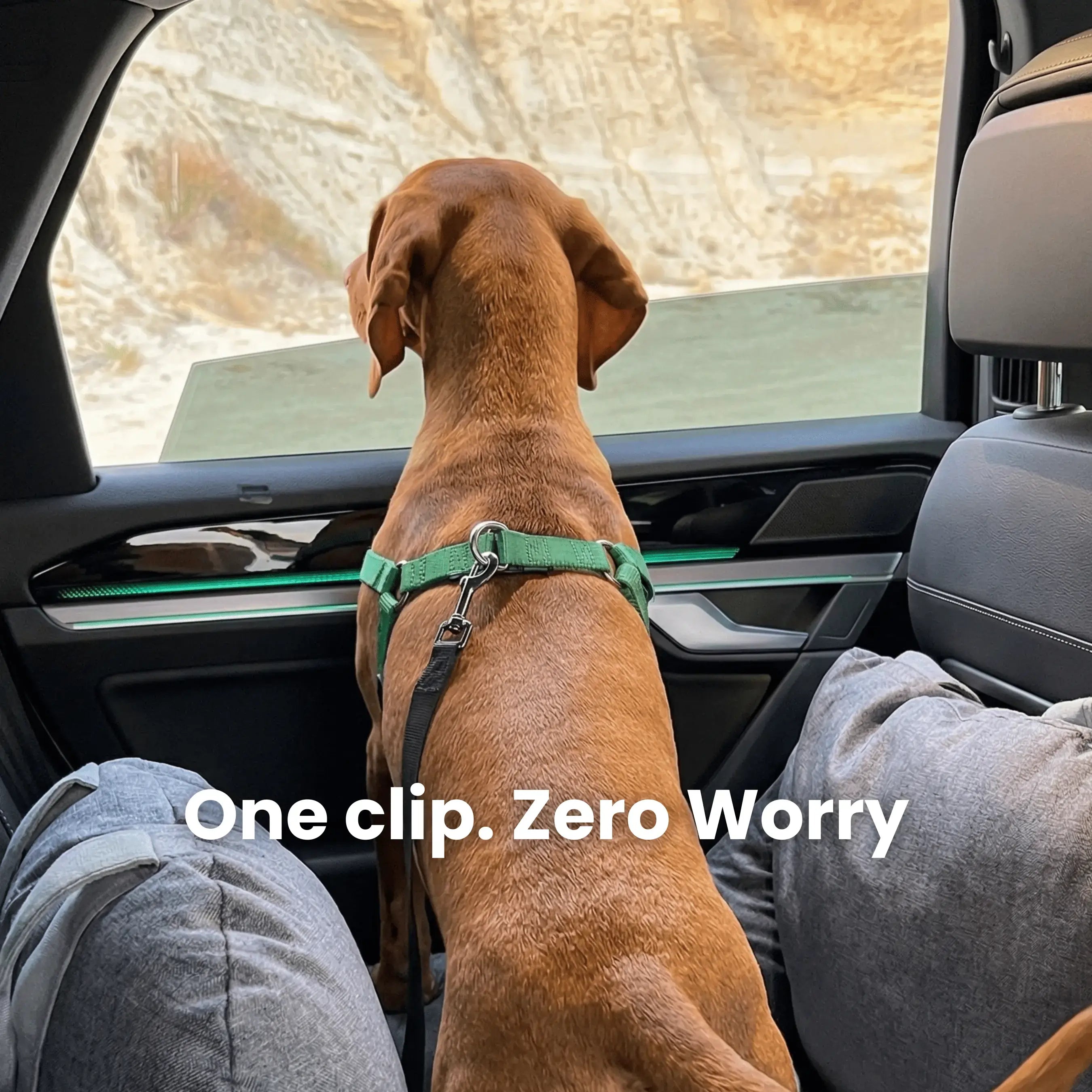 DOG CAR BOOSTER SEAT