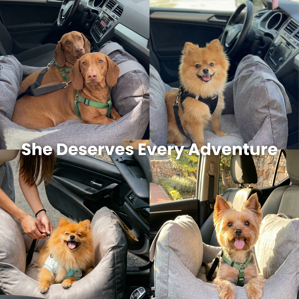 Dog Car Booster Seat