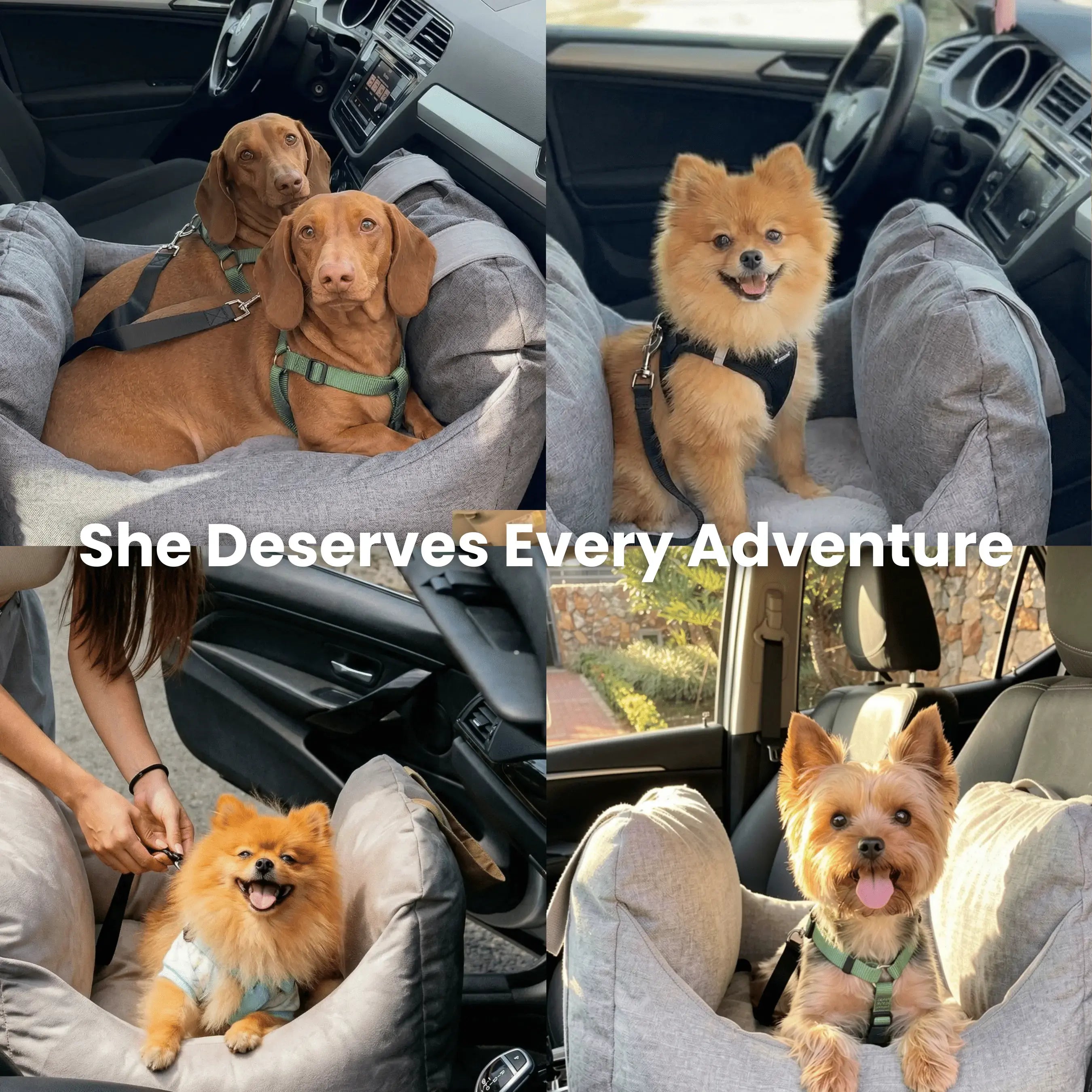 DOG CAR BOOSTER SEAT