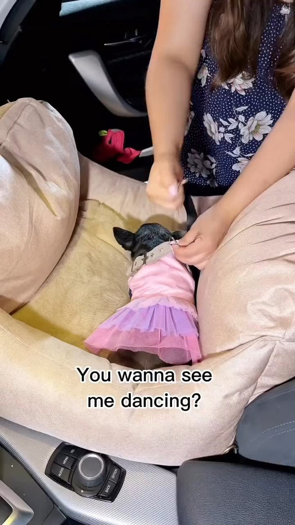 @blauypixel