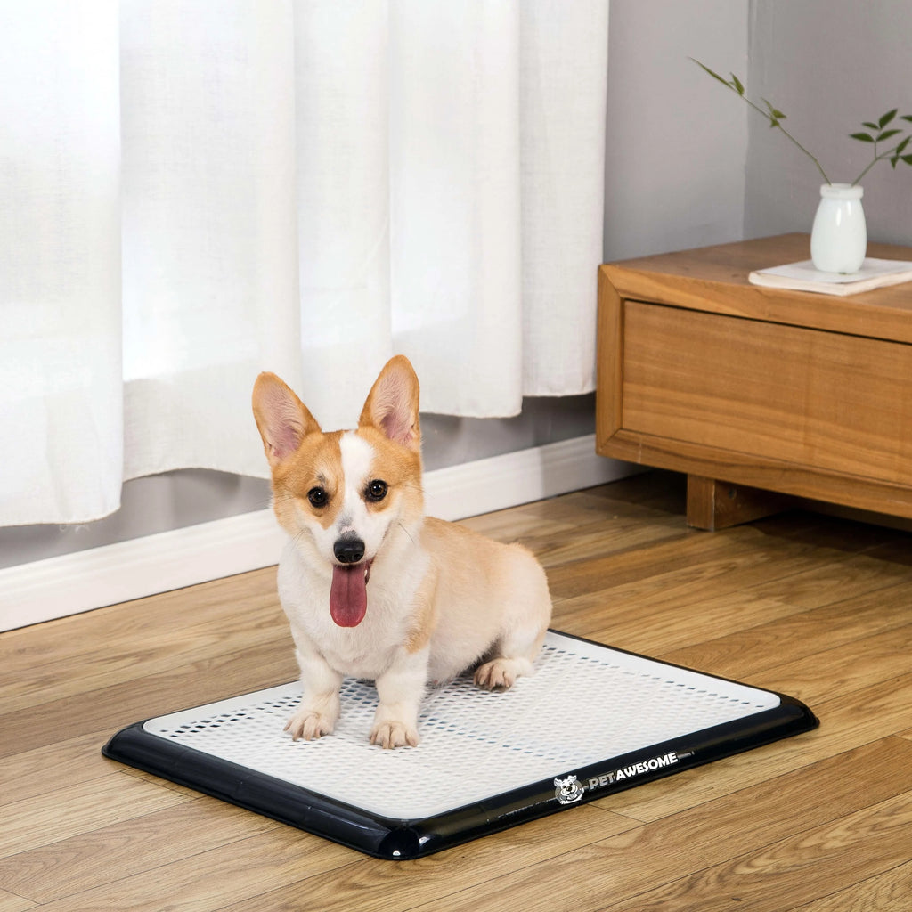 Corgi using Pet Awesome black reusable dog potty tray next to wooden furniture