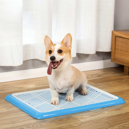 Corgi sitting on blue Pet Awesome indoor potty tray beside curtains