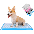 Corgi sitting on blue Pet Awesome dog potty tray with color options pink, black, grey