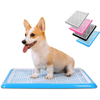 Corgi sitting on blue Pet Awesome dog potty tray with color options pink, black, grey