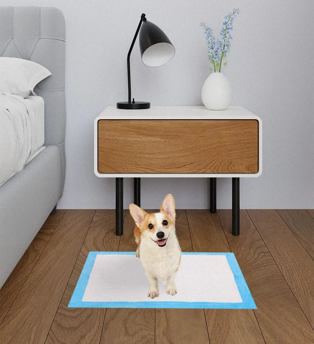Corgi sitting on Pet Awesome dog pee pad next to nightstand in cozy bedroom
