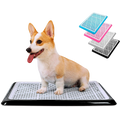 Corgi on Pet Awesome black dog potty tray with additional pink, blue, and white options