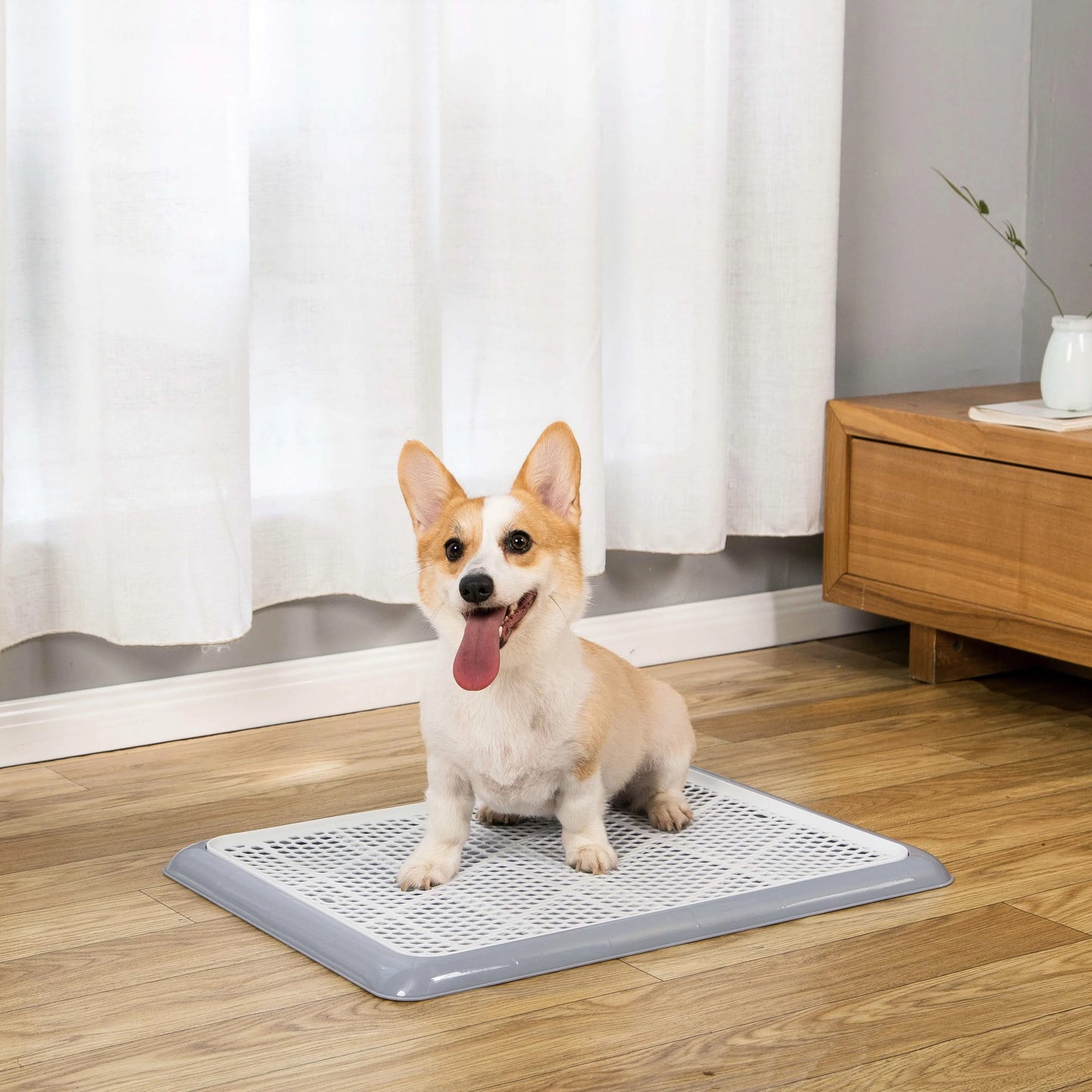 Corgi sitting on grey Pet Awesome dog potty tray for indoor training