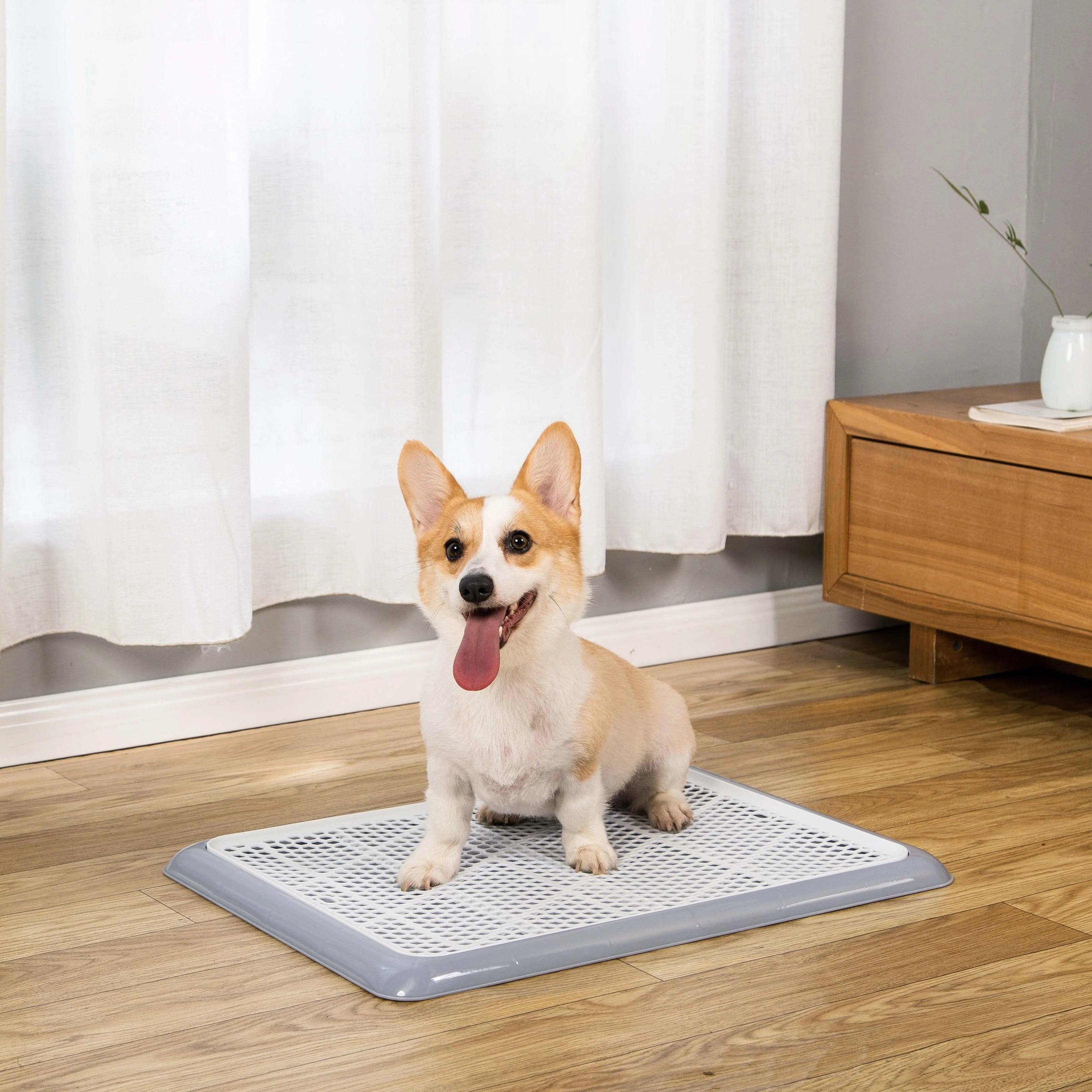 Corgi sitting on grey Pet Awesome dog potty tray for indoor training