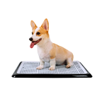 Corgi sitting on Pet Awesome dog potty tray isolated on white background