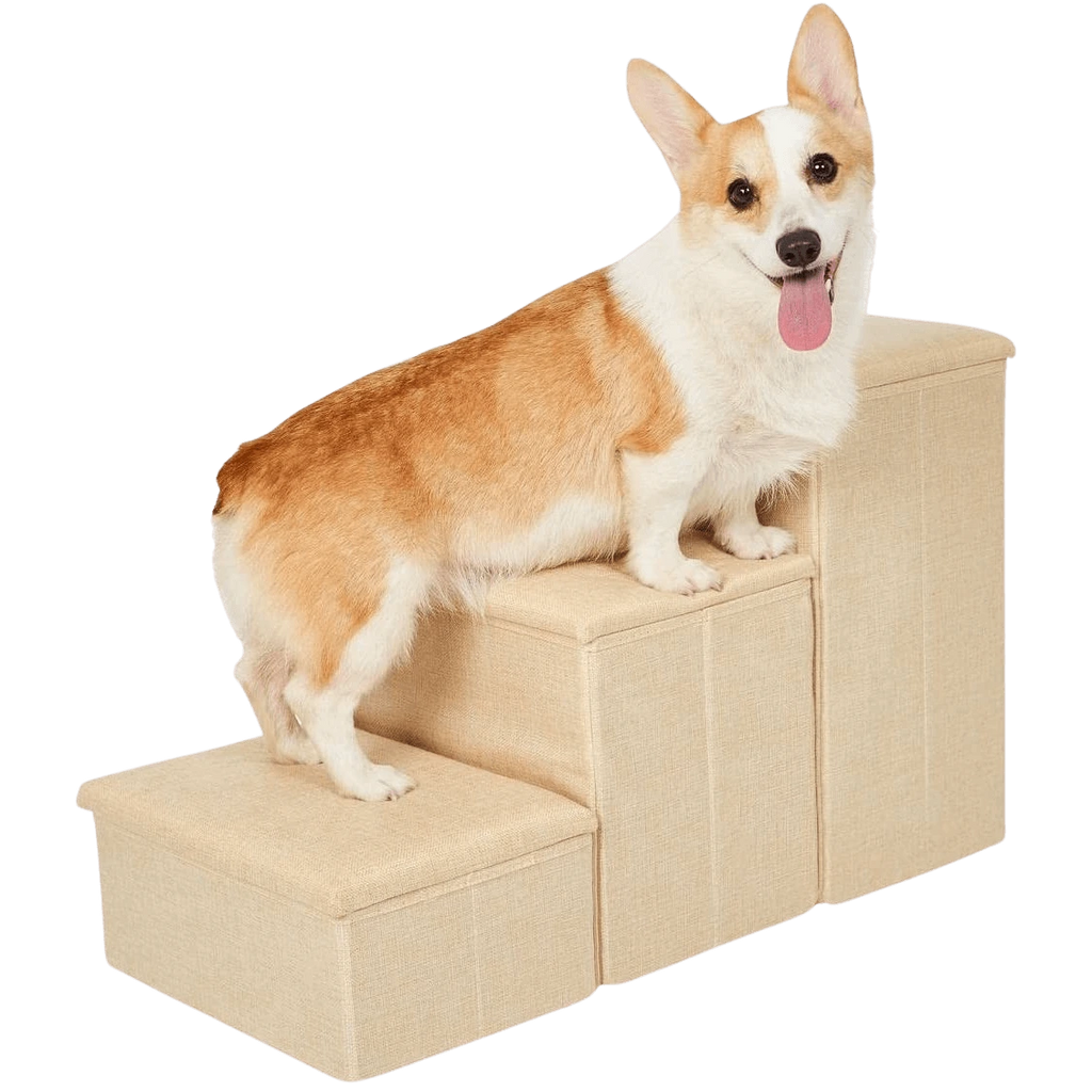 Corgi standing on beige Pet Awesome dog stairs for bed or sofa access