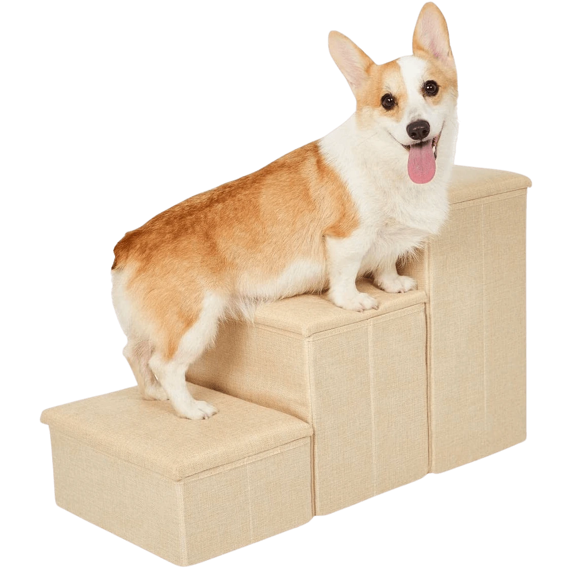 Corgi standing on beige Pet Awesome dog stairs for bed or sofa access