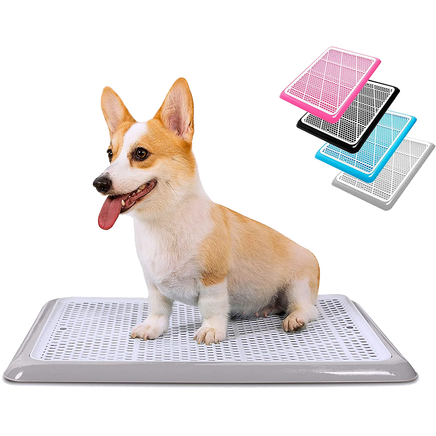Corgi on grey Pet Awesome dog potty tray with pink, blue, black variants