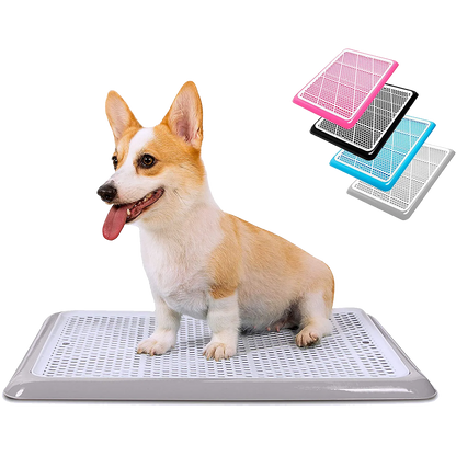 Corgi on grey Pet Awesome dog potty tray with pink, blue, black variants