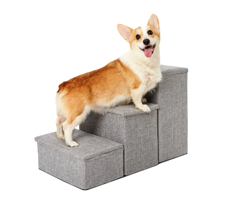 Corgi standing on grey Pet Awesome dog stairs smiling beside bed