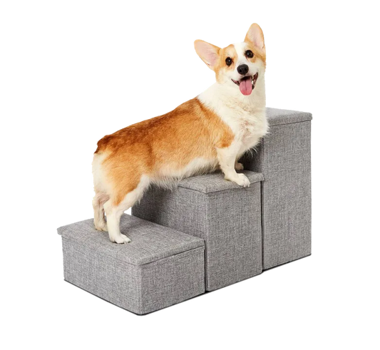 Corgi standing on grey Pet Awesome dog stairs smiling beside bed