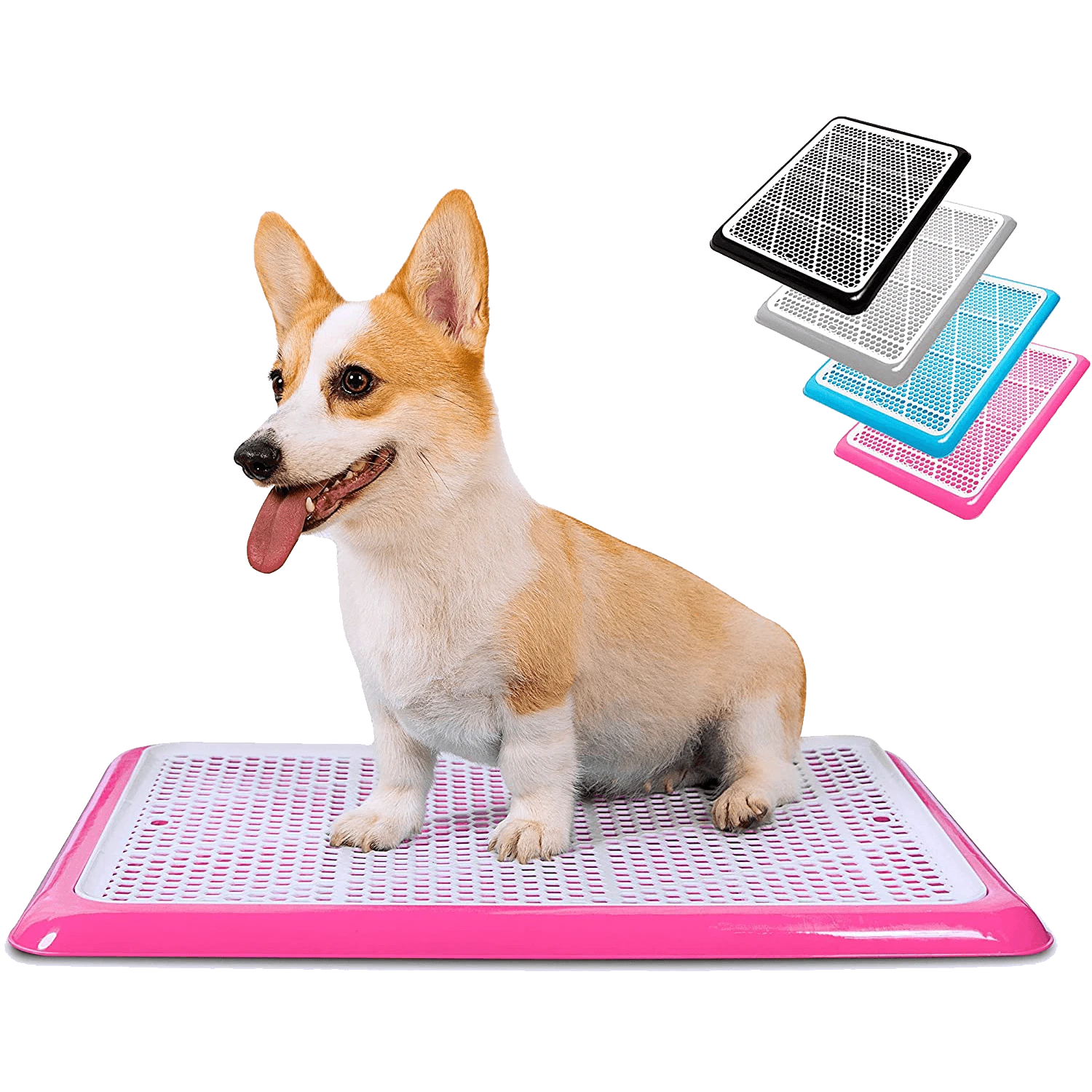 Corgi on pink Pet Awesome dog potty tray with available color choices