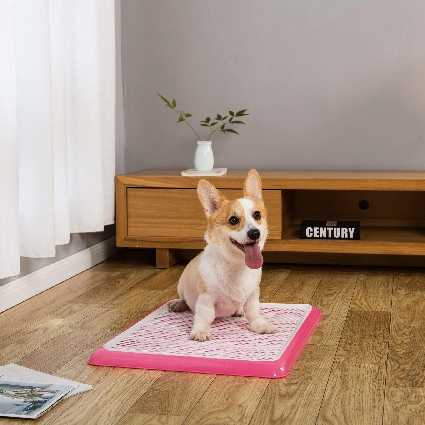 Corgi sitting on pink Pet Awesome dog potty tray in living room setting